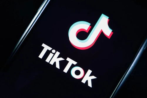TikTok短视频常见术语详解