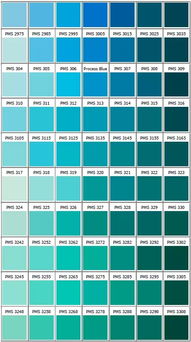 一、 PMS色卡概述