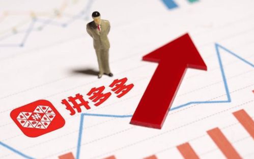 数据分析：精准定位市场