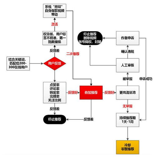 2. 创作高互动内容