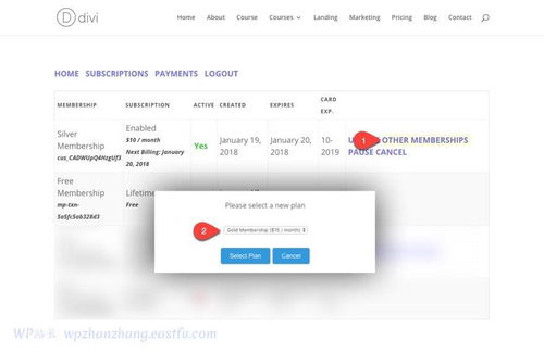 ：Divi， 一款备受瞩目的网站建设工具