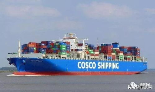 中远海运汽车船队的航线布局：第四条国际班轮航线的意义