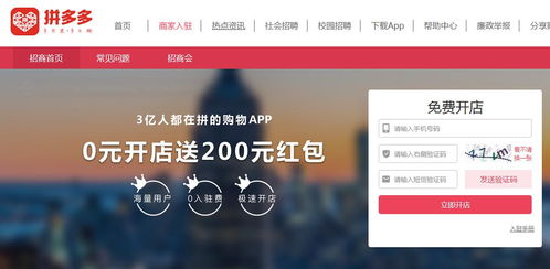 一、 拼多多平台店铺类型概述