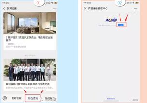 第三步：使用官方防伪查询工具