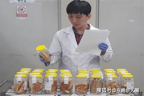 一、 注册韩国公司的律法依据与基本原则