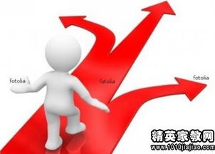 选择专业服务机构的重要性