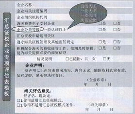 5. 企业税款缴纳与担保额度恢复