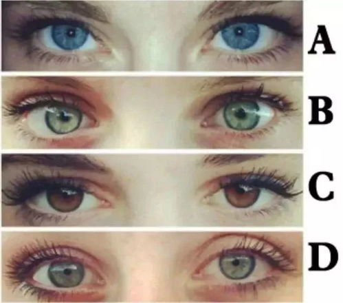 一、 美妆市场细分，垂直领域带来机会