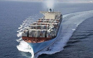 一、海运订舱代理概述