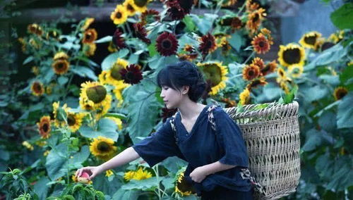 抖音商业IP打造四步法：从零基础到100万粉丝