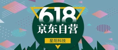 一、 京东自营店铺的流量优势