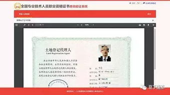 代办公司全程操作内容