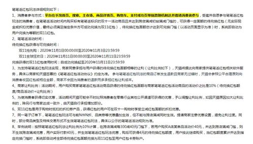 快手双11大促筹备期与预售期概述