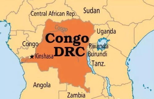 沙特专线快线清关渠道