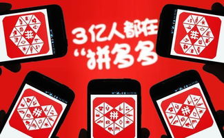 5. 拼多多app固件或网站服务器问题