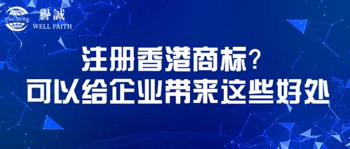 公告公示：给予公众反馈的机会