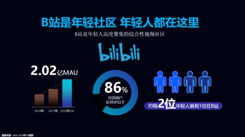 1.1 用户心智与平台基因的“低价”锚定