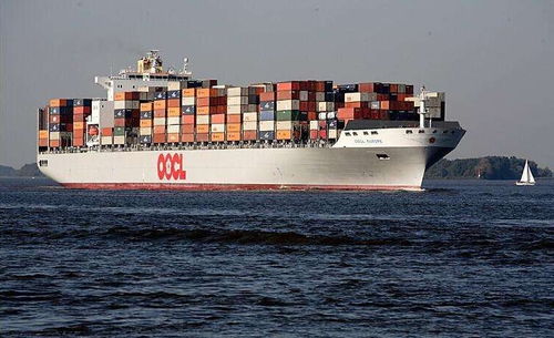 3. 特殊货物附加费