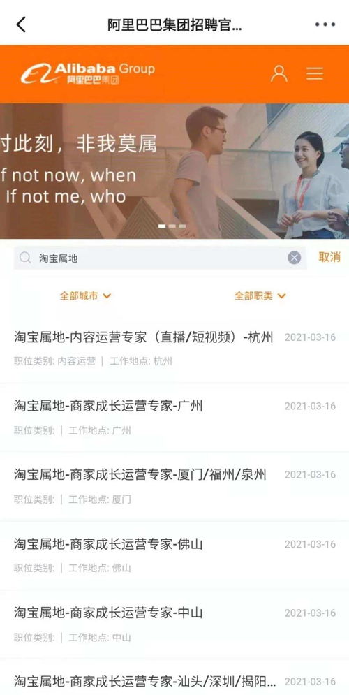 三、 店铺类型选择，量身定制您的电商梦