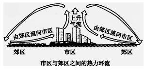 人为因素的探究