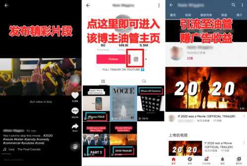 二、 TikTok赚钱的常见模式