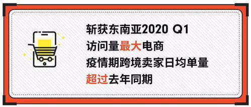 5. 多元化的目标市场