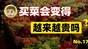 三、多多买菜的购物体验如何？