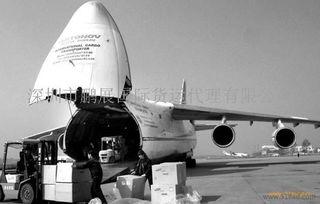 一、 国际空运中“免泡”政策的解析