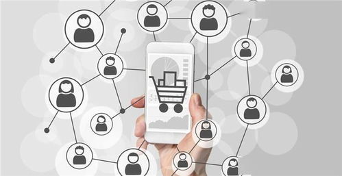 Wayfair广告展示位与预算调整