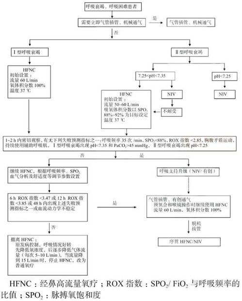 二、 明确操作流程的规范性和标准化