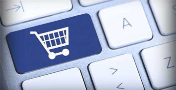 一、 付款条款概述