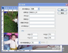 淘宝店铺链接的重要性：实现引流与转化