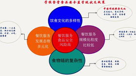 侵权投诉的应对策略