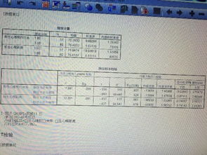 检查德国vat发票模板