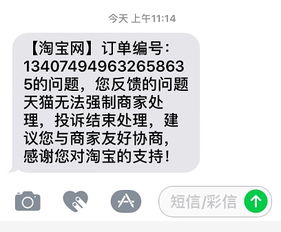 天猫国际官方直营的崛起与定位
