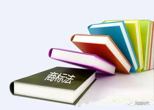 商标注册：品牌的核心资产与市场开拓的关键