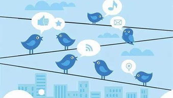 优化广告创意与合规性检查