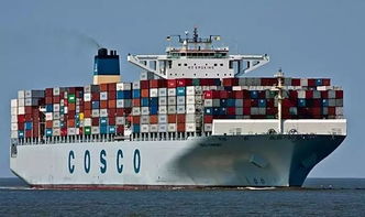 电放费与拆箱滞留费的隐性风险