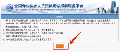 注册申请的正式提交过程