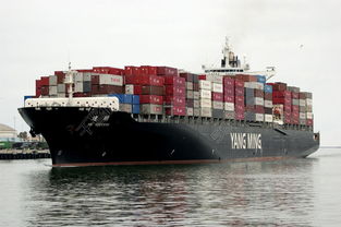 二、 不同船公司的编码差异