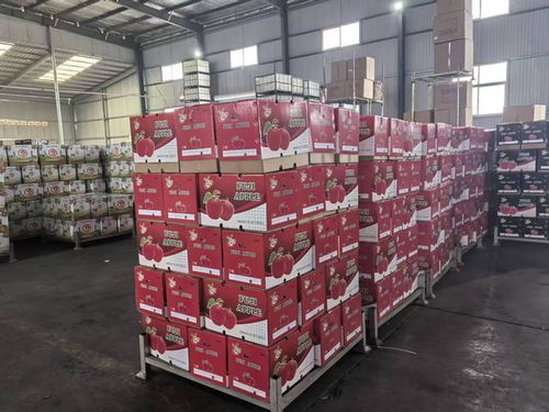 创新模式， 助力果品电商腾飞