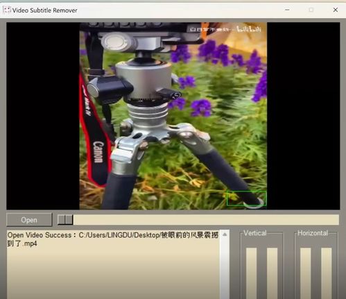 二、揭秘AI清除视频水印的秘密武器：只需三步