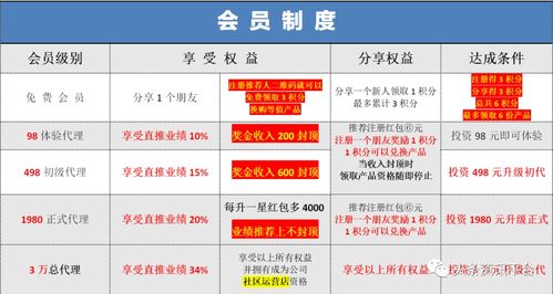 六、淘特推广拉新与代理申请：拓展业务的新途径