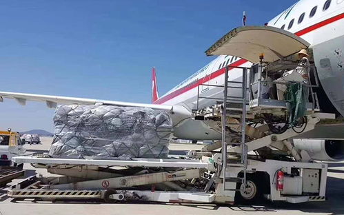 二、 影响空运到德国时效的关键因素