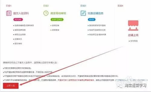 3. 软件服务年费