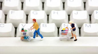 2. 严格遵守相关律法法规