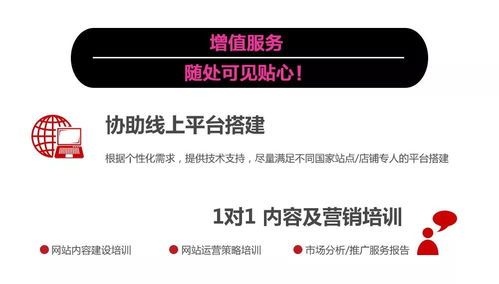 建议每月投入广告预算的10-15%用于推广数据分析工具，如Ozon自带的Smart Campaign模块或第三方工具Data.ai。同过持续优化，成熟卖家可将广告ACoS控制在18-25%的行业优秀水平。