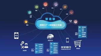 先进的运输管理系统：重塑大件物流运作模式