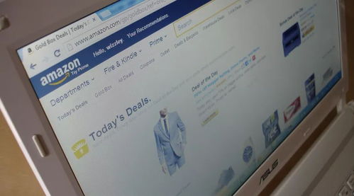 一、 亚马逊卡派服务概述