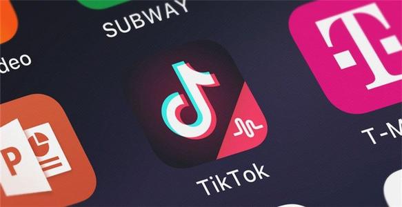四、TikTok紧急停运方案的影响